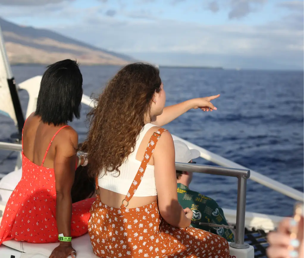 Classic Whale Watch