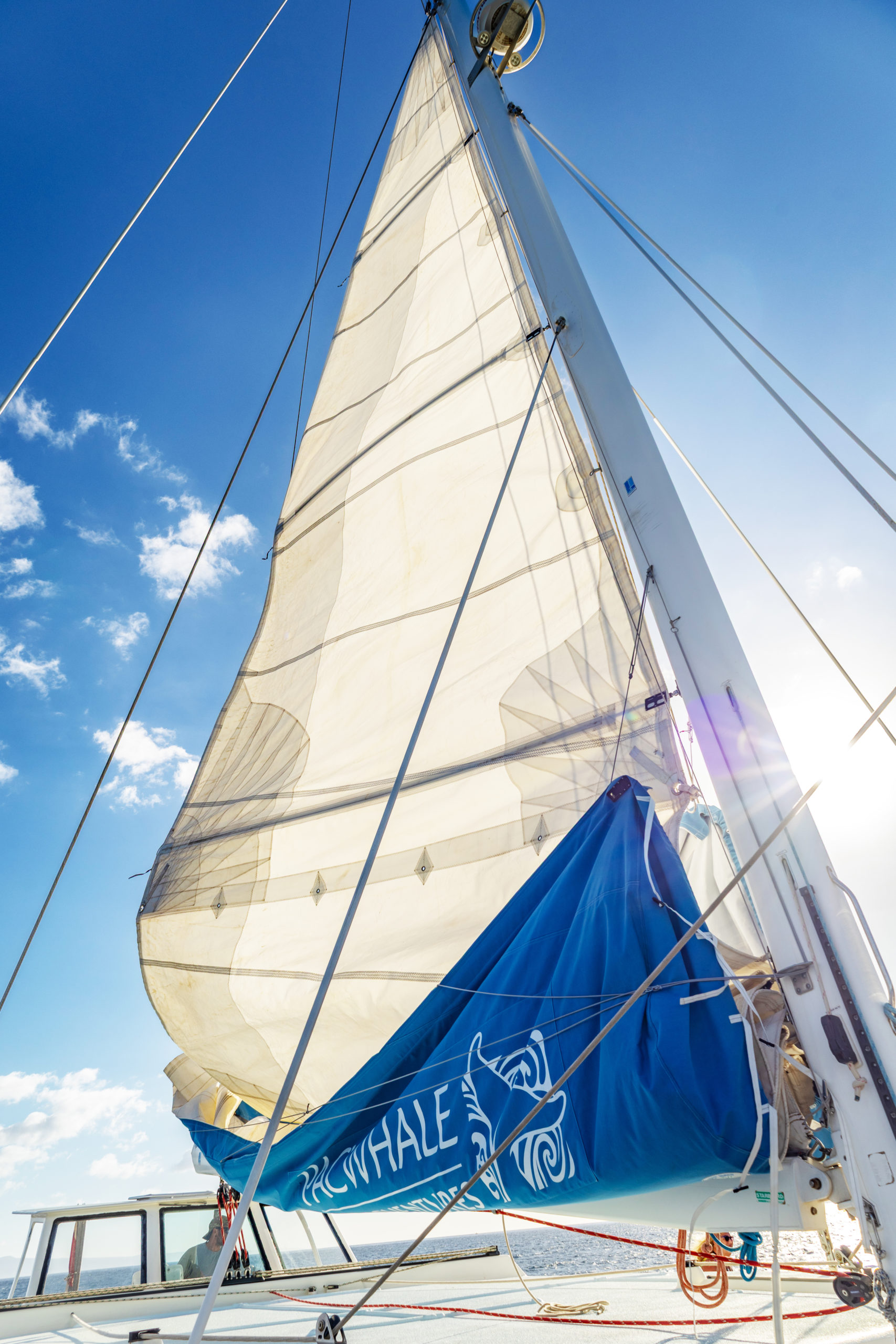 Whale Watch Sunset Sail