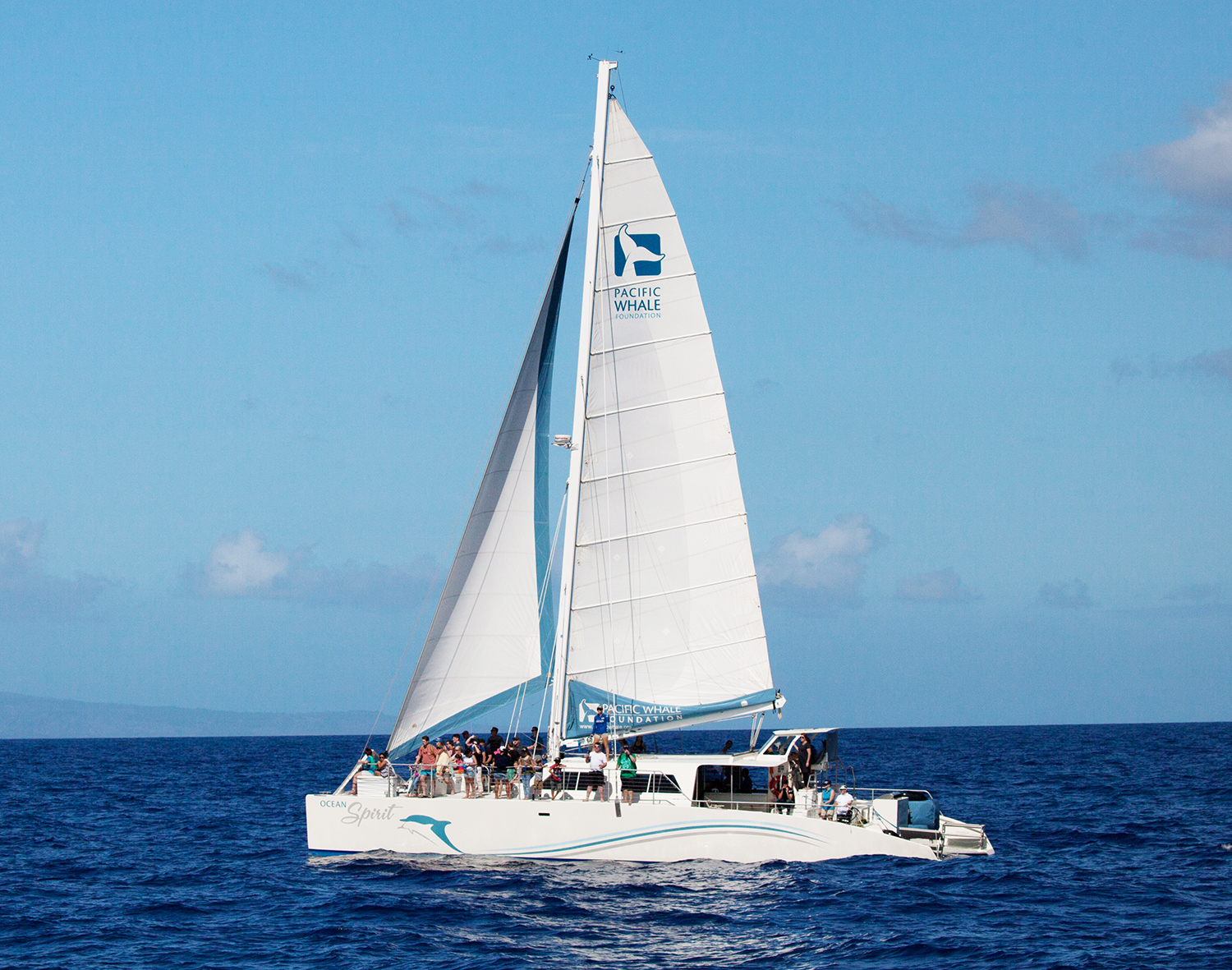 Whale watch Sail